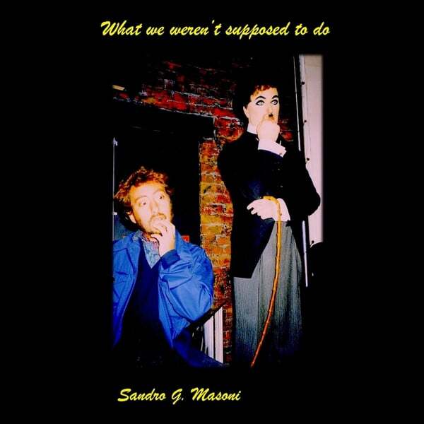 Cover art for What We Weren't Supposed to Do